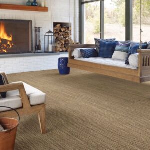 Brown Carpet | Howmar Carpet