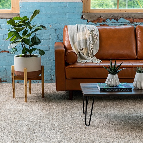 Living room flooring | Howmar Carpet Inc