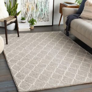 Soft area rug in living room | Howmar Carpet Inc