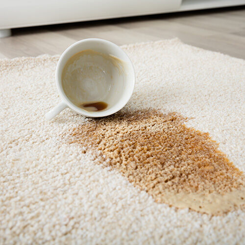 Coffee spilt on area rug in living room | Howmar Carpet Inc