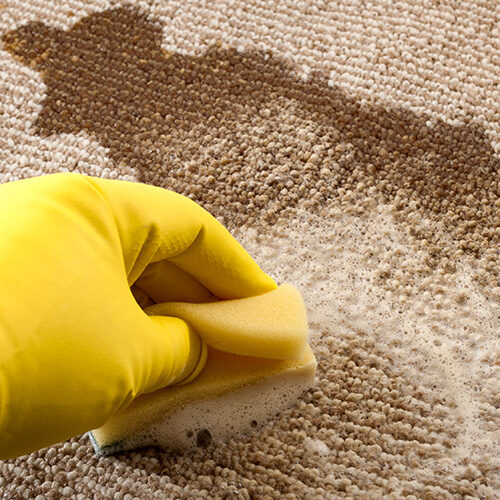 Carpet Care Spot Check | Howmar Carpet
